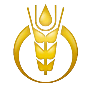 深粮控股 logo