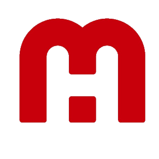 华媒控股 logo