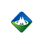 盈新发展 logo