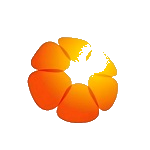 ST西王 logo