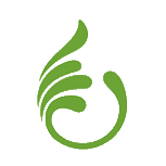 *ST节能 logo