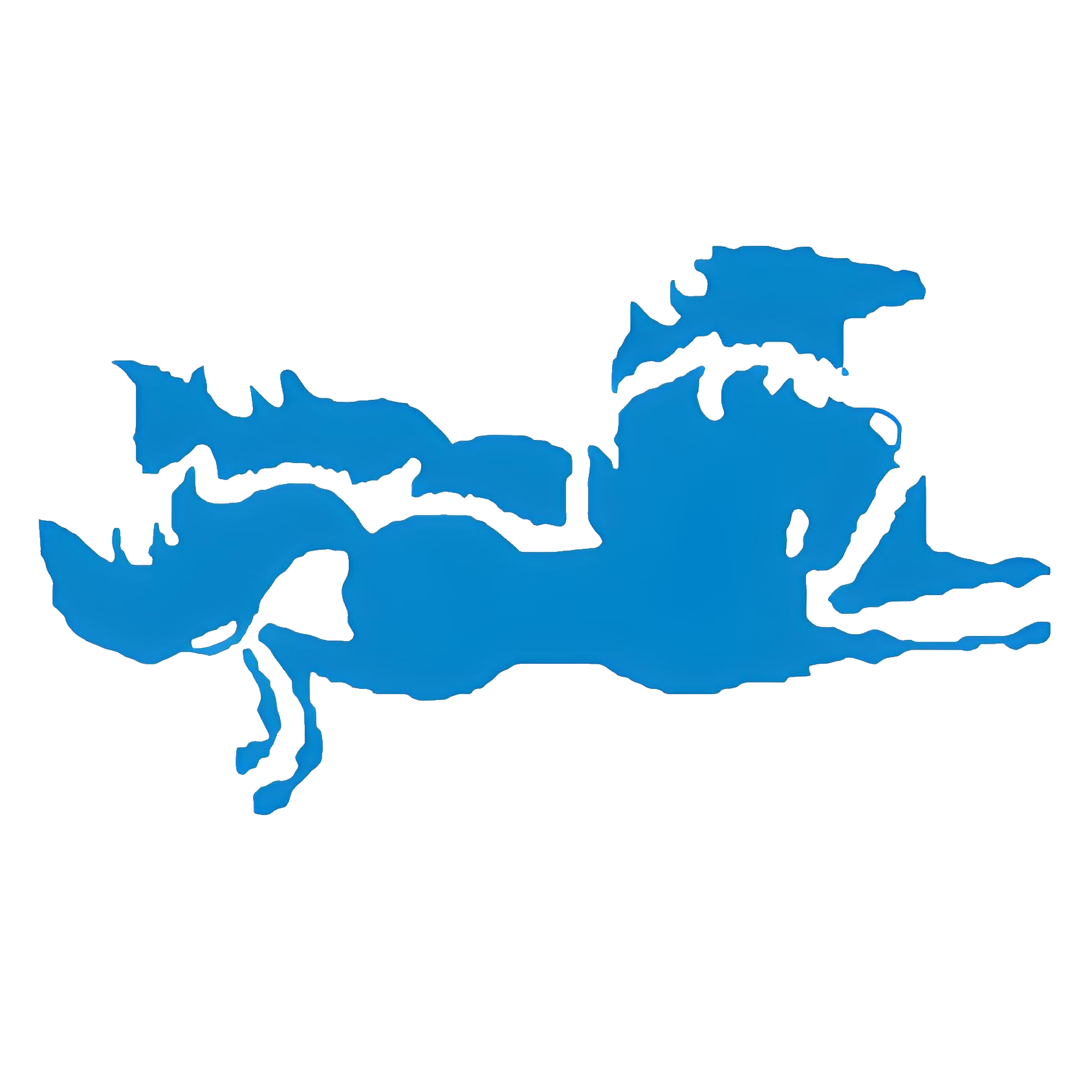 四川双马 logo