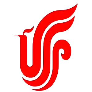 国货航 logo