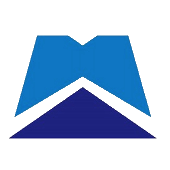 中工国际 logo