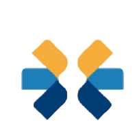中泰化学 logo