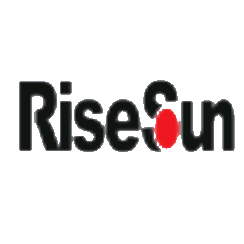 荣盛发展 logo