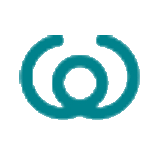 远望谷 logo