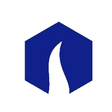 仙琚制药 logo