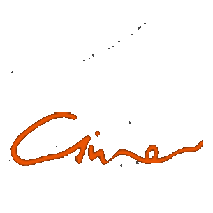 慈文传媒 logo