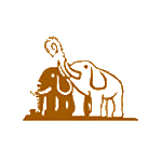 双象股份 logo