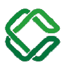 ST雪发 logo