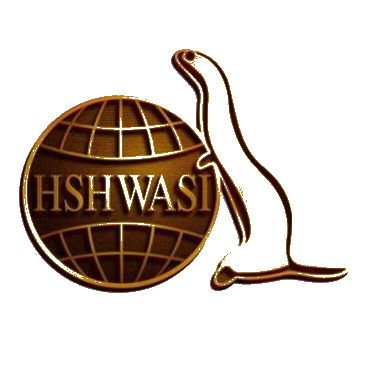 华斯股份 logo