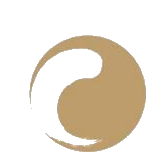 中顺洁柔 logo