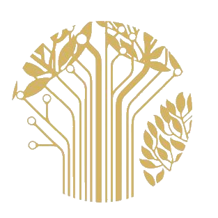 ST达华 logo