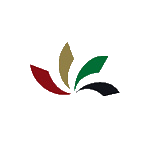 盛通股份 logo