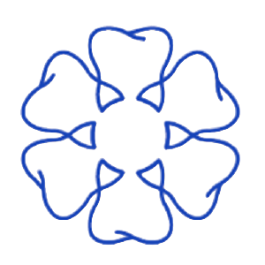 皓宸医疗 logo
