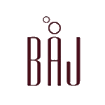 *ST棒杰 logo
