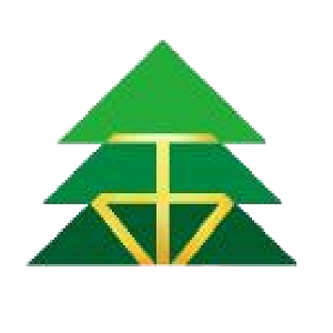 福建金森 logo