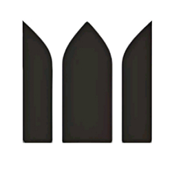 帝欧水华 logo