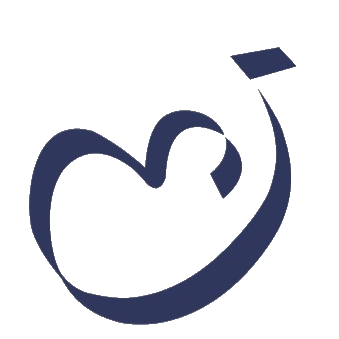 洁美科技 logo