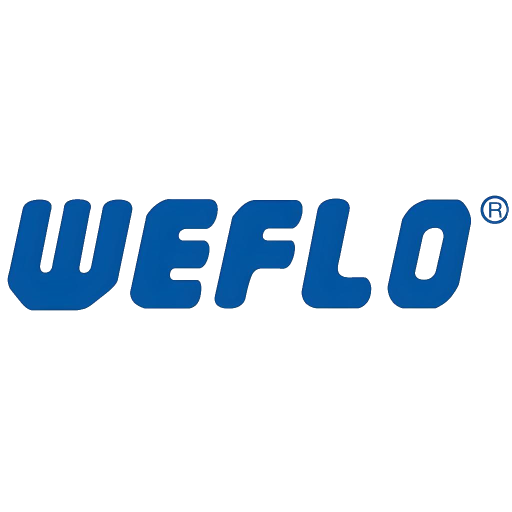 伟隆股份 logo