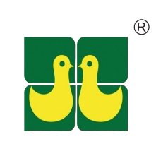 湘佳股份 logo