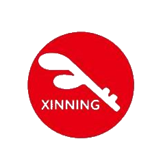 新宁物流 logo