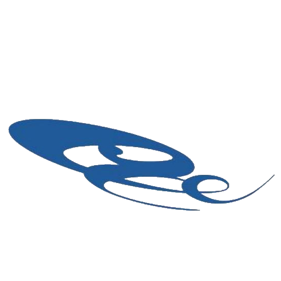 网宿科技 logo