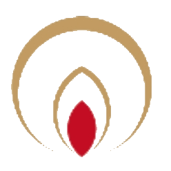 ST恒信 logo