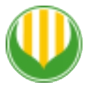 *ST纳川 logo