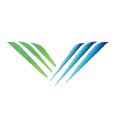 佳讯飞鸿 logo