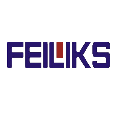 飞力达 logo