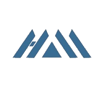 华民股份 logo