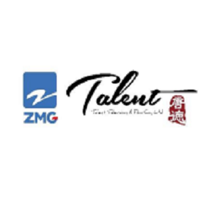 华智数媒 logo