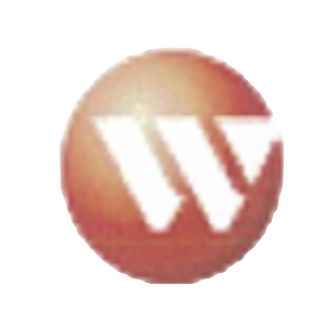 立中集团 logo