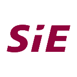 赛意信息 logo