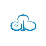 森霸传感 logo