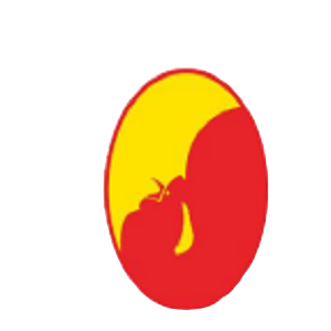 晓鸣股份 logo
