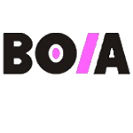 博亚精工 logo