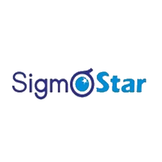 星宸科技 logo