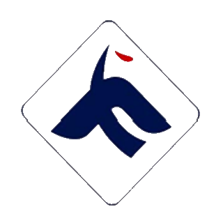佳力奇 logo