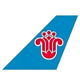 南方航空 logo