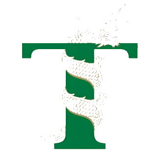太龙药业 logo