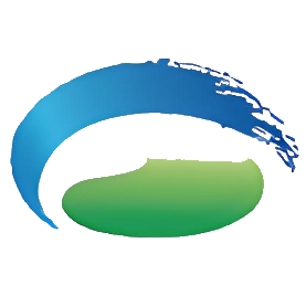 沧州大化 logo