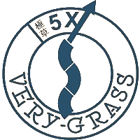 *ST春天 logo