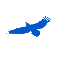 山鹰国际 logo