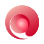 ST中珠 logo