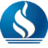 国新能源 logo
