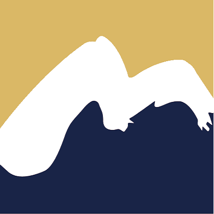 天目药业 logo