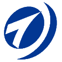 湖南天雁 logo